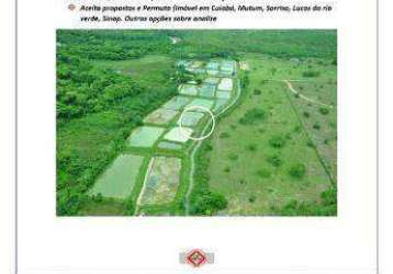 Fazenda (353 hectares) no município de nobres mt