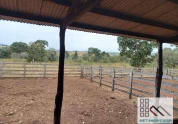 Fazenda (324 hectares), em vargem grande mt