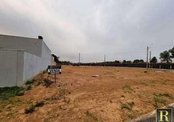 Terreno para venda em guarapuava, cascavel