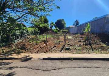 Terreno para venda em guarapuava, morro alto