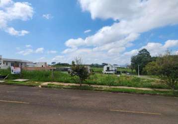 Terreno para venda em guarapuava, alto cascavel