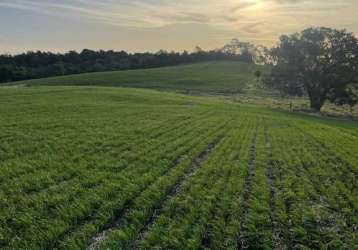 Fazenda para venda em palmital, rural