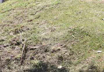 Loteamento à venda em bosque - sp