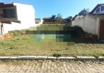 Terreno à venda na rua waldemar guido vicentini, 538, dom feliciano, gravataí, 390 m2 por r$ 400.000