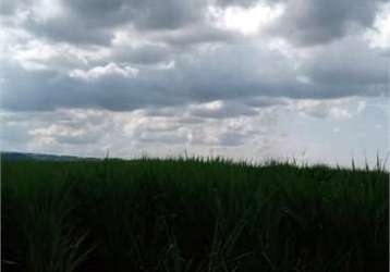 Fazenda com 1 quartos à venda em área rural de ribeirão preto - sp