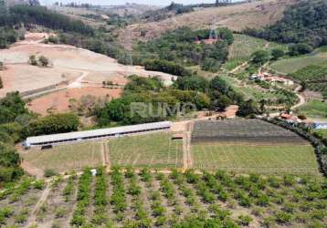 Chácara / sítio com 3 quartos à venda na domingos stoco, 1000, bairro do morro, itatiba, 1140 m2 por r$ 1.060.000