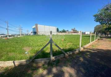 Terreno comercial à venda na avenida josé bonifácio, s/n, jardim das paineiras, campinas por r$ 10.876.000