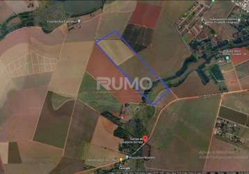 Terreno comercial à venda na área rural, área rural de sumaré, sumaré por r$ 9.235.000