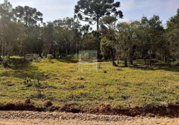 Terreno para venda em são josé dos pinhais, roseira de são sebastião