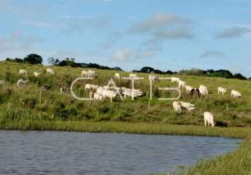 Fazenda à venda na rea á rural, campos de holambra, paranapanema por r$ 10.000.000