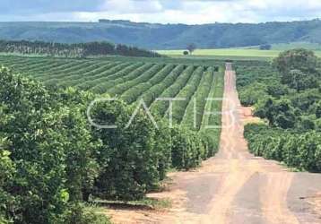 Fazenda à venda na rua paulo henrique michelete, são paulo, marília por r$ 190.000.000