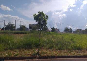 Terreno à venda em birigüi-sp, bairro parque das árvores ii, 250m² de área!