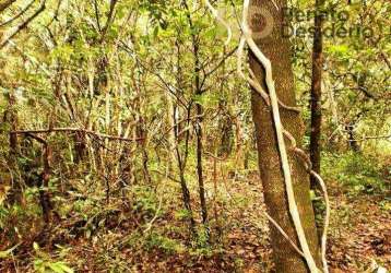 Terreno à venda na mg 10 km 55, --, condomínio estância da mata, jaboticatubas por r$ 700.000