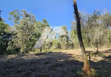 Área para venda em campo magro