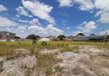 Terreno para aluguel - vila americana - 30.000,00