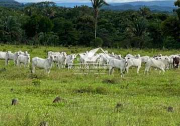 Fazenda pecuária 174 hectares porteira fechada em mt