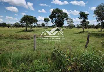 Chácara / sítio à venda no mimoso, santo antônio do leverger , 520000 m2 por r$ 700.000