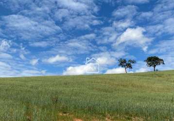 Terreno à venda, 484000 m² por r$ 2.000.000,00 - afonsos - pouso alegre/mg