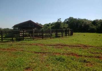 Fazenda à venda na vicente guazzelli, 1020, chácara santa cecília, avaré por r$ 8.000.000