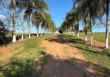 Fazenda à venda na estrada vicinal, 1010, centro, alambari por r$ 22.000.000