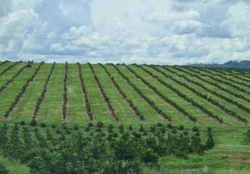 Fazenda à venda na vicinal, zona rural, campina verde por r$ 65.000.000