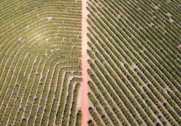 Fazenda à venda na área rural, área rural de franca, franca por r$ 38.500.000