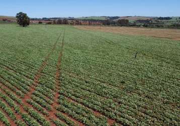 Fazenda à venda na área rural, zona rural, itaí por r$ 18.000.000