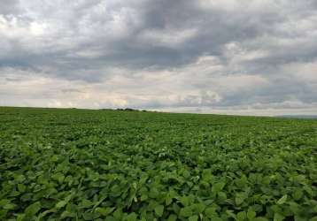 Fazenda à venda na rua são sebastião, centro, ribeirão preto por r$ 85.000.000