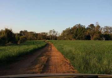 Fazenda com 3 salas à venda na rua doutor virgílio de rezende, área rural de itapetininga, itapetininga por r$ 9.500.000