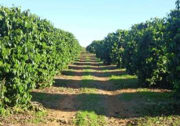 Fazenda à venda na estrada vicinal, 1010, centro, piumhi por r$ 75.000.000