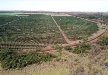 Fazenda à venda na rural, 1020, zona rural, votuporanga por r$ 27.000.000