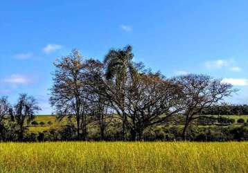 Chácara / sítio à venda na end. rodovia raposo tavares km 245, zona rural, paranapanema por r$ 1.100.000