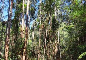 Fazenda à venda na bragança paulista, centro, bragança paulista por r$ 60.000.000