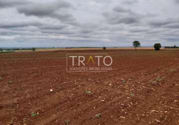 Terreno comercial à venda na hermann janait, s/nº, fazenda velha, nova odessa por r$ 20.000.000