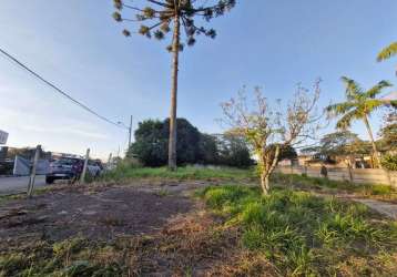 Terreno para alugar, 416 m² em frente a policia federal por r$ 2.000/mês - santa cândida - curitiba/pr