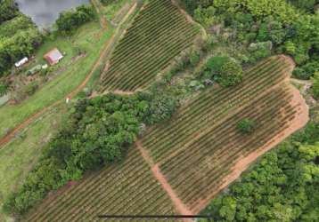 Invista na alta do café: sítio produtivo à venda em são sebastião do paraíso!