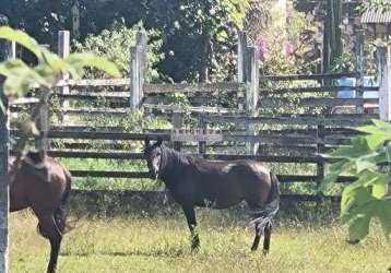 Ver desc na obs: - raridade-haras sta helena 8000m² em cotia-oportunidade única