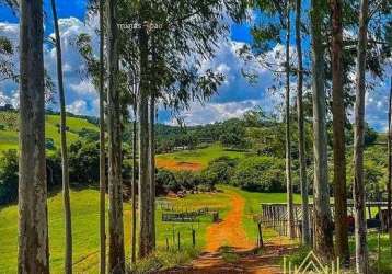 14jd terreno com vista para o lago