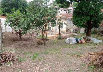 Lote para venda em belo horizonte, planalto