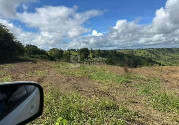 Terrenos no centro em área nobre de amargosa