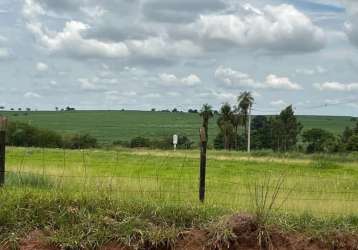 Terreno padrão em são josé do rio preto