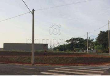 Terreno padrão em são josé do rio preto