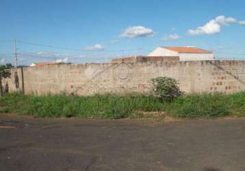 Terreno padrão em zacarias