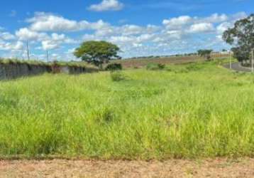 Terreno padrão em cedral