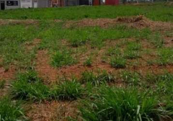 Terreno padrão em são josé do rio preto