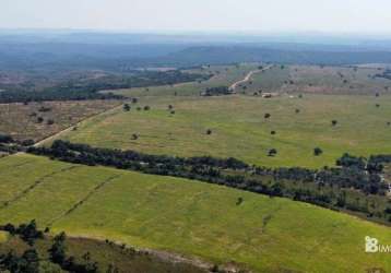 Fazenda de gado a venda