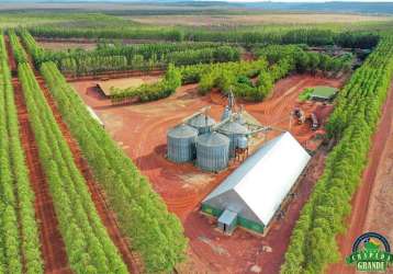 Fazenda de grande porte em piauí