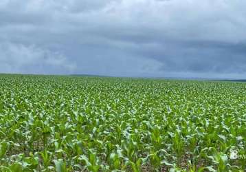 Fazenda a venda em nobres  mt