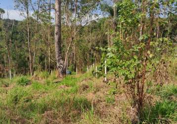 Terreno de 1000 metros parque florestal