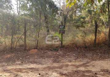 Terreno à venda no bairro monjolinho, são carlos - oportunidade imperdível!